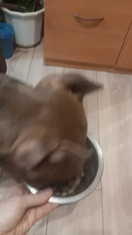Видео-отзыв: Татьяна